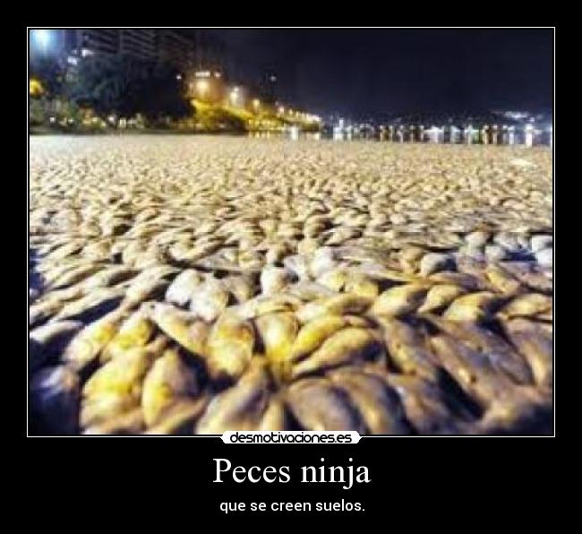 Peces ninja - que se creen suelos.