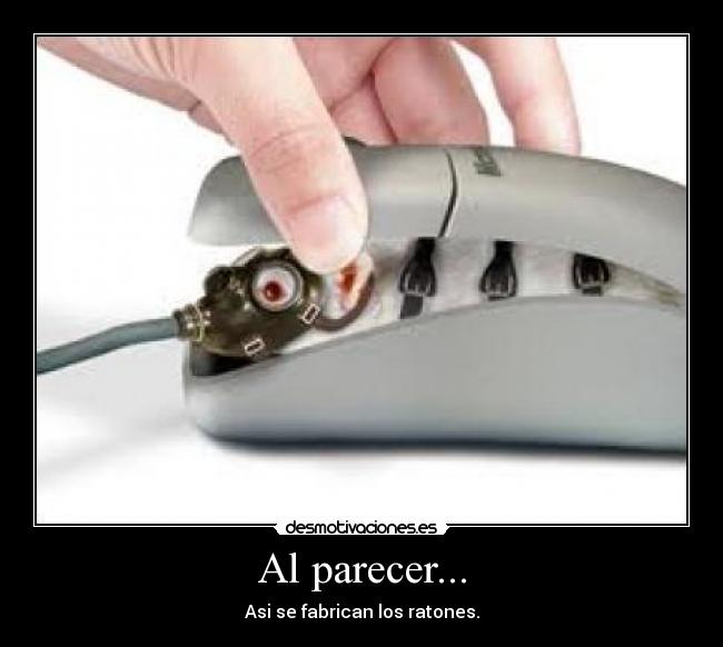 Al parecer... - 