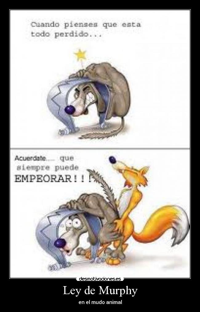 carteles zorros desmotivaciones