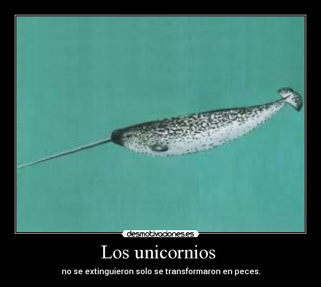 Los unicornios -