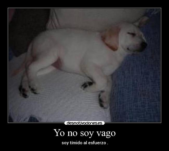 Yo no soy vago - 