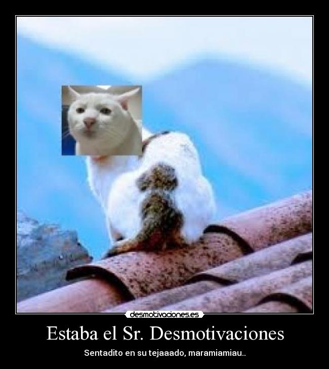 Estaba el Sr. Desmotivaciones - Sentadito en su tejaaado, maramiamiau..