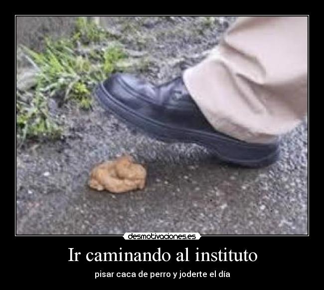 carteles comojoderte dia desmotivaciones