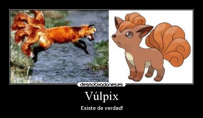 Vúlpix - Existe de verdad!