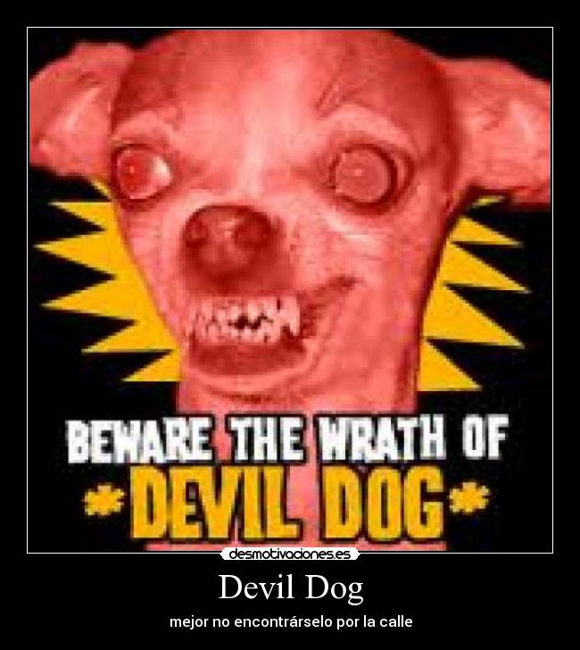 Devil Dog - 