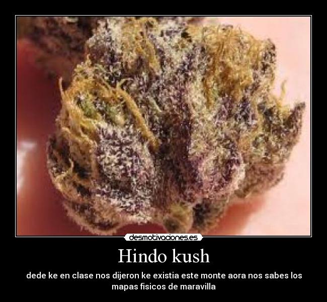 Hindo kush - 