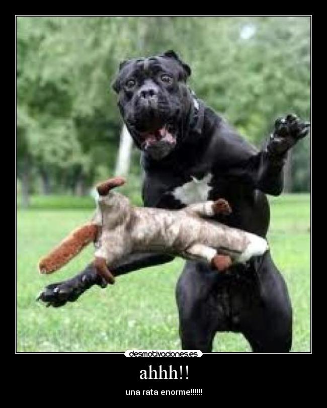 carteles ahhh desmotivaciones