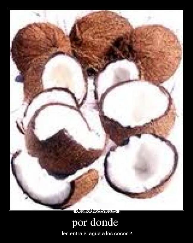 por donde - les entra el agua a los cocos ?