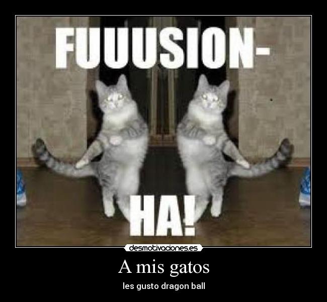 A mis gatos - les gusto dragon ball