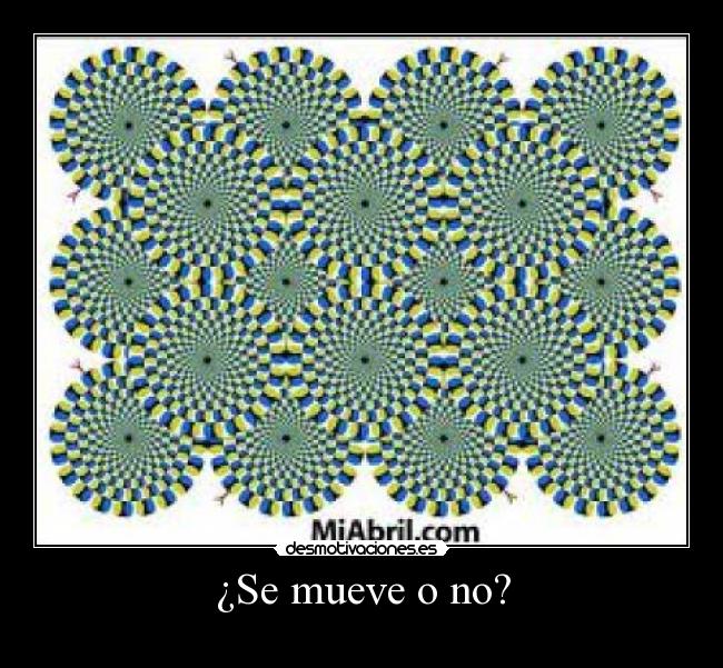 ¿Se mueve o no? -