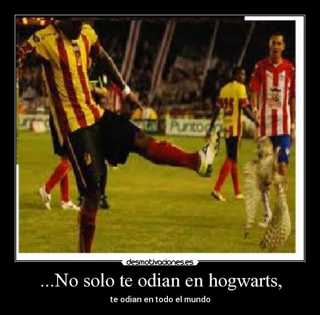...No solo te odian en hogwarts, - te odian en todo el mundo