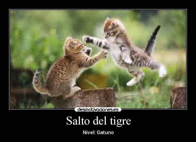 Salto del tigre -