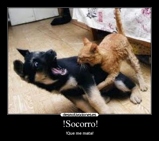!Socorro! - !Que me mata!