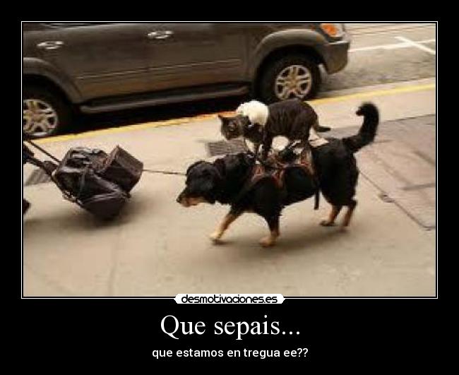 Que sepais... -