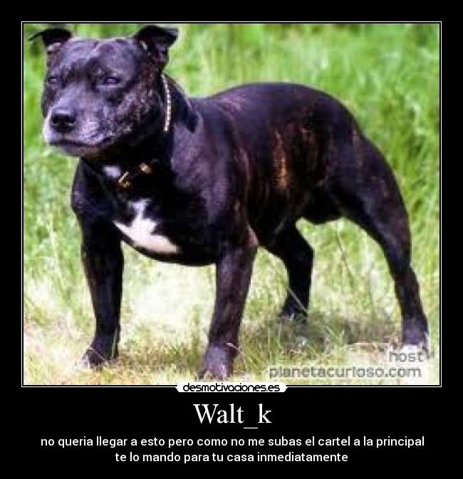 Walt_k - no queria llegar a esto pero como no me subas el cartel a la principal
te lo mando para tu casa inmediatamente