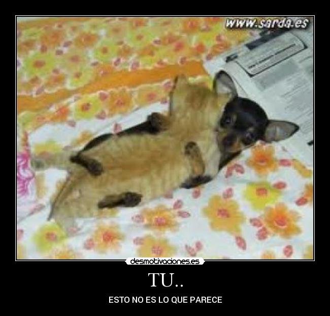 TU.. - ESTO NO ES LO QUE PARECE