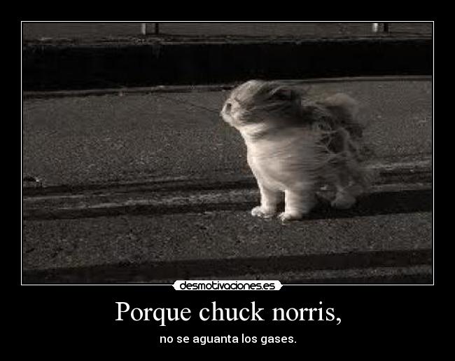 Porque chuck norris, - 