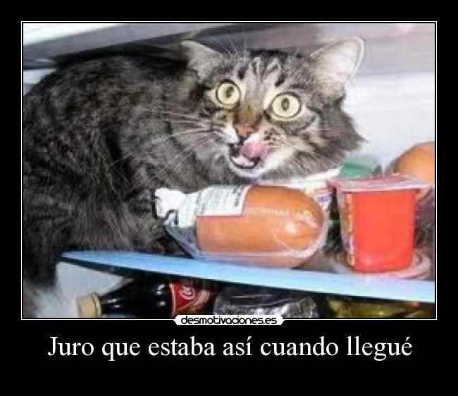 Juro que estaba así cuando llegué -