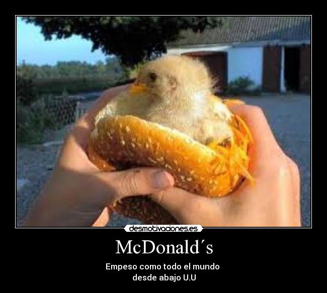McDonald´s -