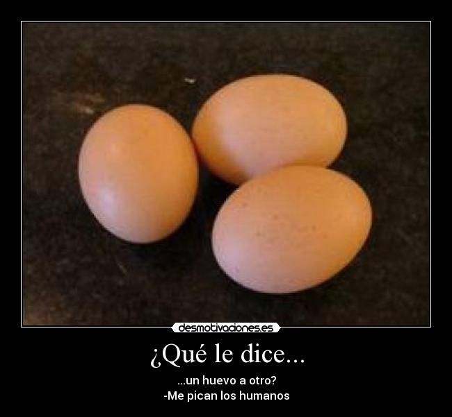 ¿Qué le dice... - ...un huevo a otro?
-Me pican los humanos