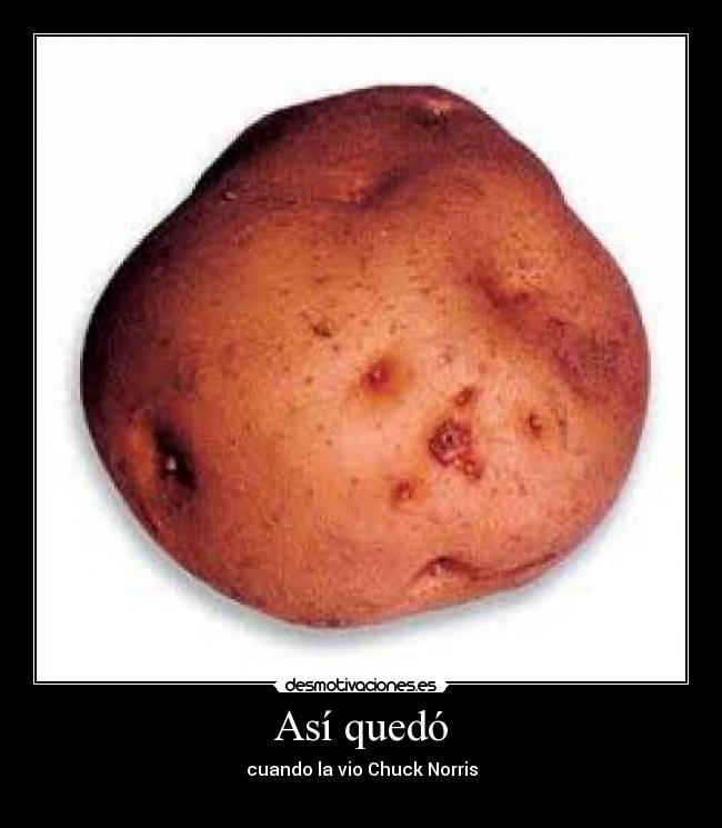 Así quedó - cuando la vio Chuck Norris