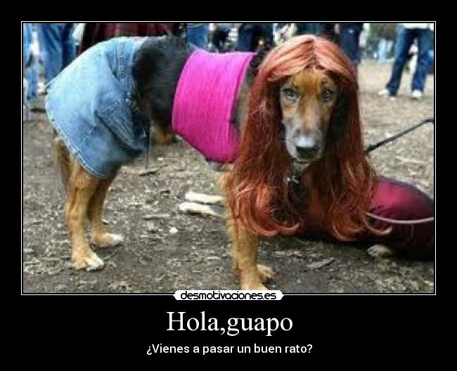 Hola,guapo - ¿Vienes a pasar un buen rato?