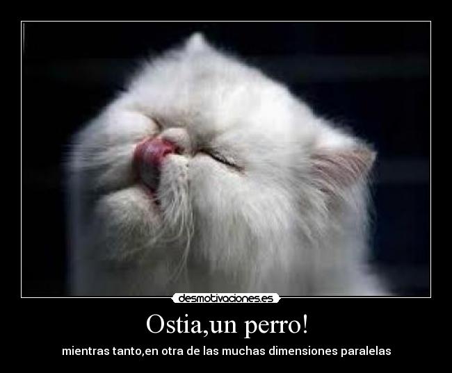 Ostia,un perro! -