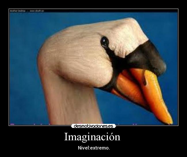 Imaginación  - 