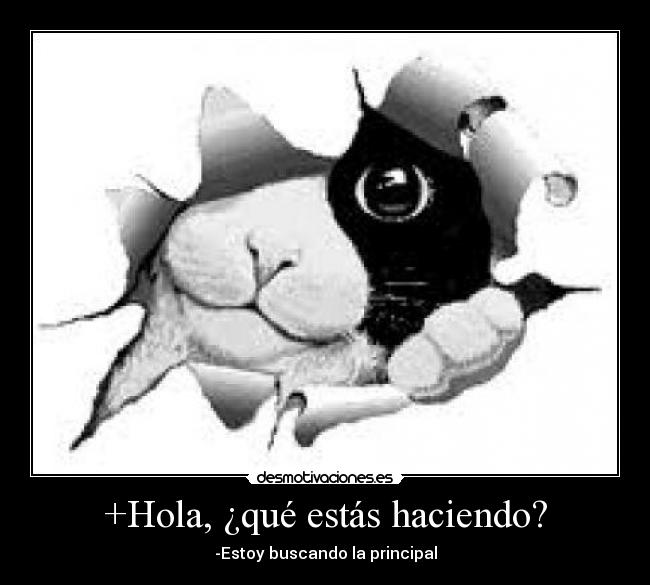 +Hola, ¿qué estás haciendo? -