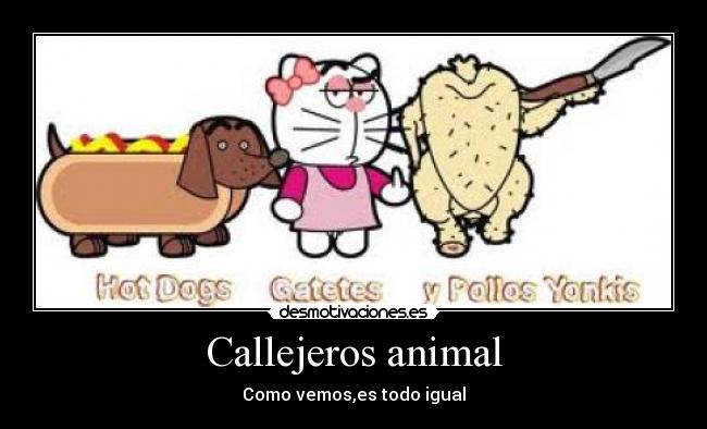 Callejeros animal -
