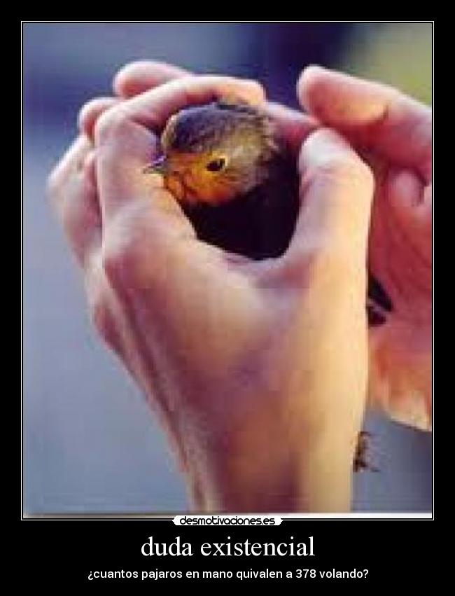 duda existencial - ¿cuantos pajaros en mano quivalen a 378 volando?