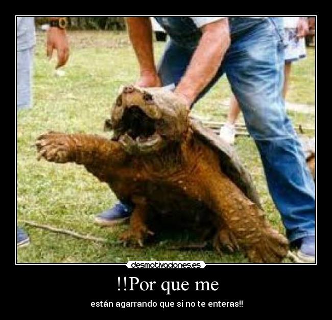 !!Por que me - están agarrando que si no te enteras!!