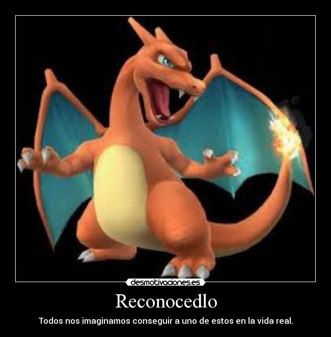 carteles charizard desmotivaciones
