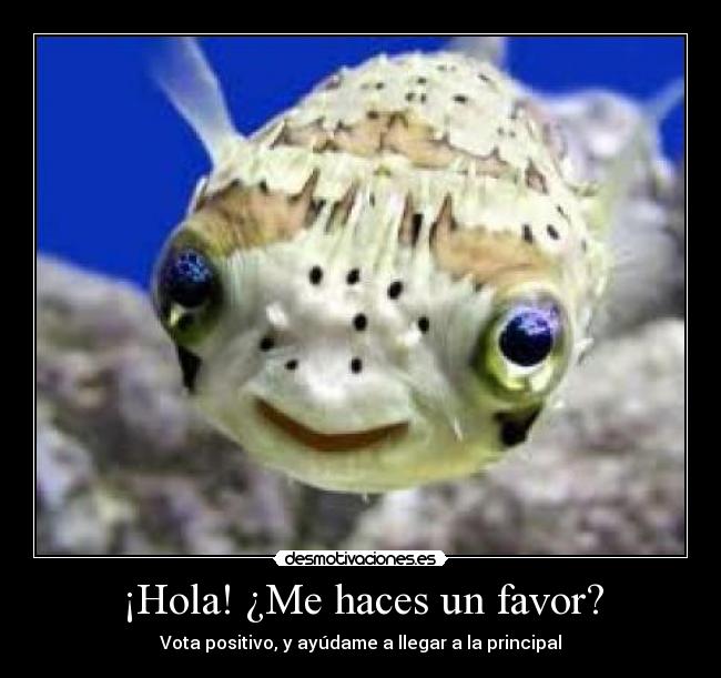 ¡Hola! ¿Me haces un favor? - 