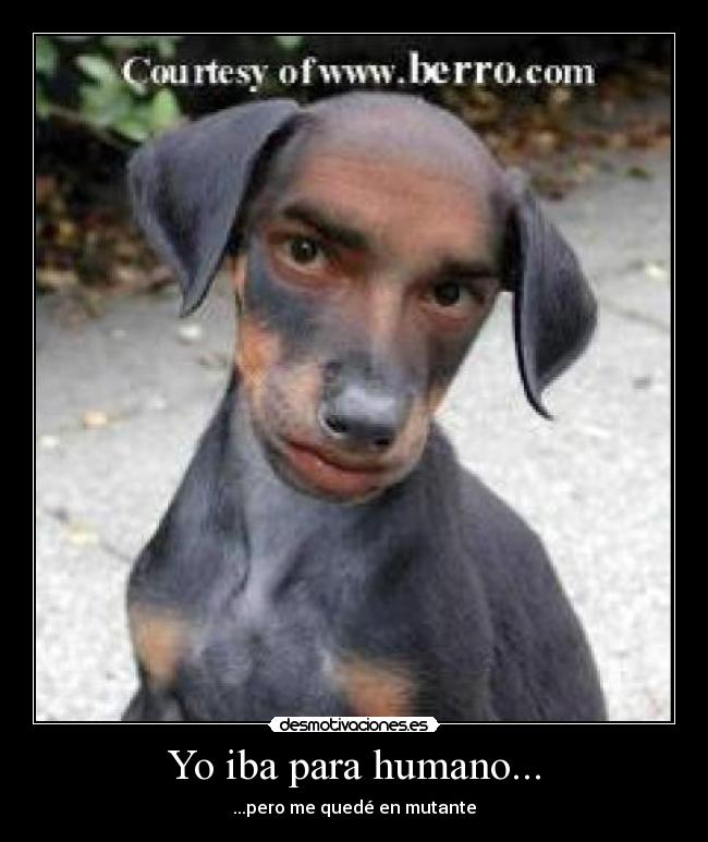 Yo iba para humano... - ...pero me quedé en mutante