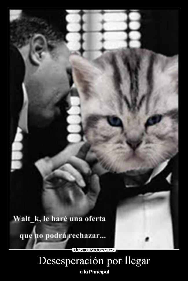 Desesperación por llegar -