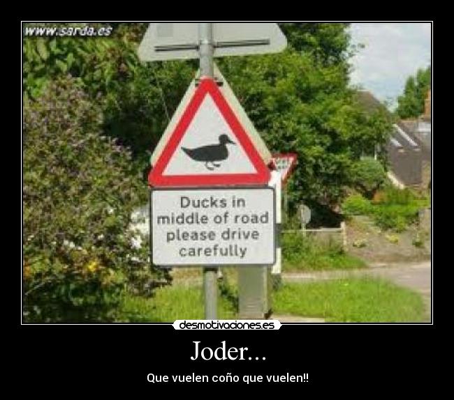 Joder... - 