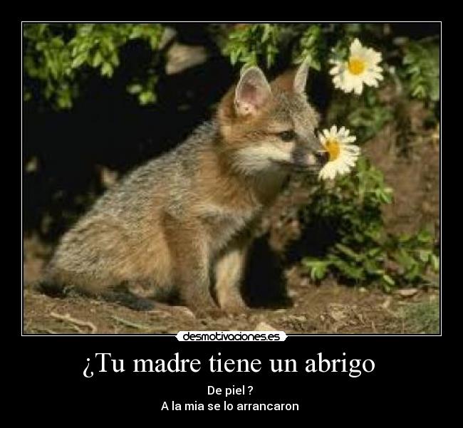 ¿Tu madre tiene un abrigo  - 