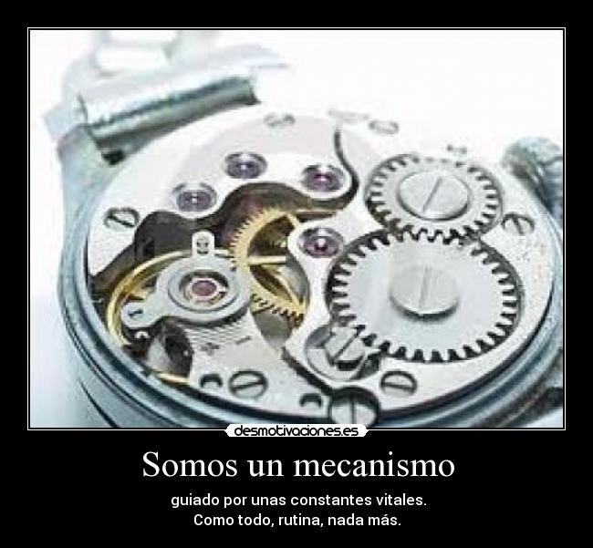 Somos un mecanismo -