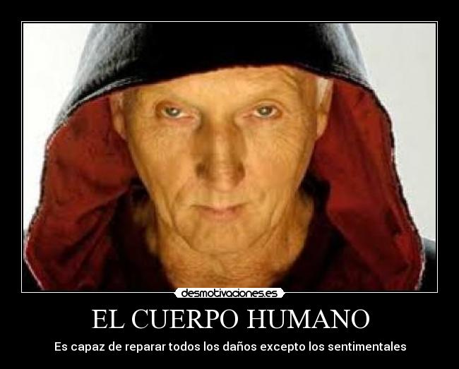 EL CUERPO HUMANO - 