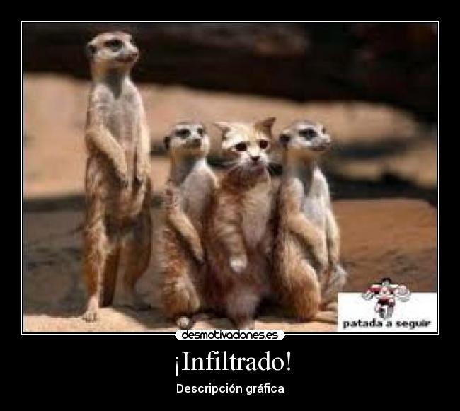 carteles walt_k jotajotamv custodioso luc205 solofumohierba darkike1995 sergiosoler12 elgatonovolador maca98 desmotivaciones