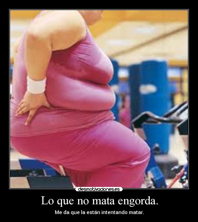 carteles gorda desmotivaciones