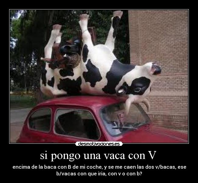 si pongo una vaca con V  - encima de la baca con B de mi coche, y se me caen las dos v/bacas, ese
b/vacas con que iria, con v o con b?