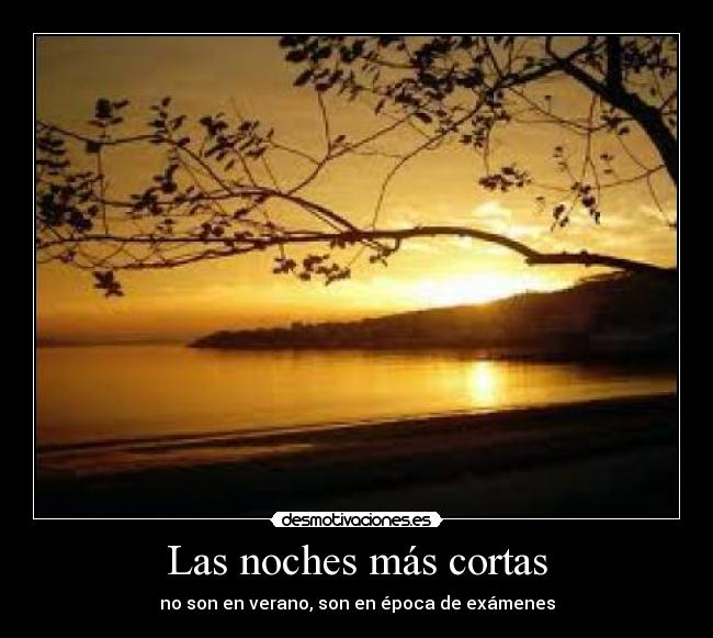 Las noches más cortas - 