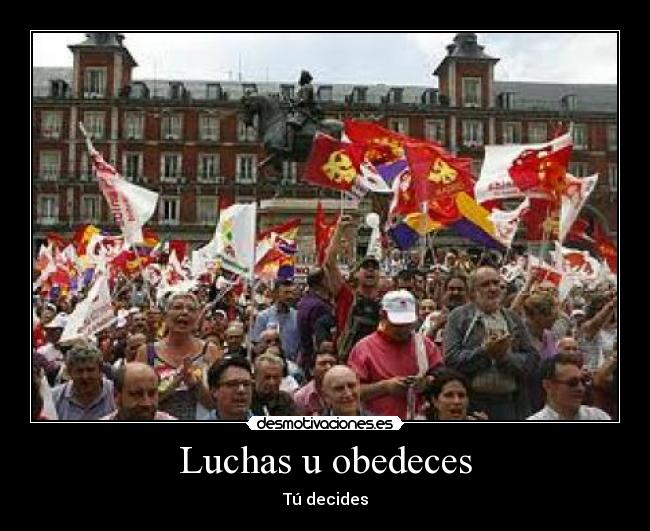 Luchas u obedeces - 