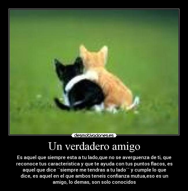 Un verdadero amigo - Es aquel que siempre esta a tu lado,que no se averguenza de ti, que
reconoce tus caracteristica y que te ayuda con tus puntos flacos, es
aquel que dice ``siempre me tendras a tu lado´´ y cumple lo que
dice, es aquel en el que ambos teneis confianza mutua,eso es un
amigo, lo demas, son solo conocidos