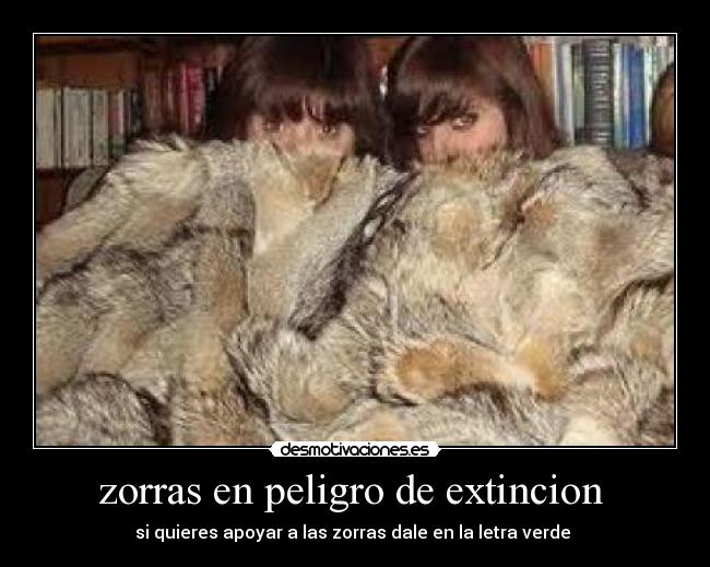 carteles zorras raza fina desmotivaciones