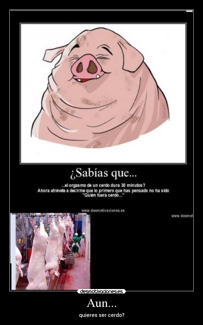 Aun... - quieres ser cerdo?