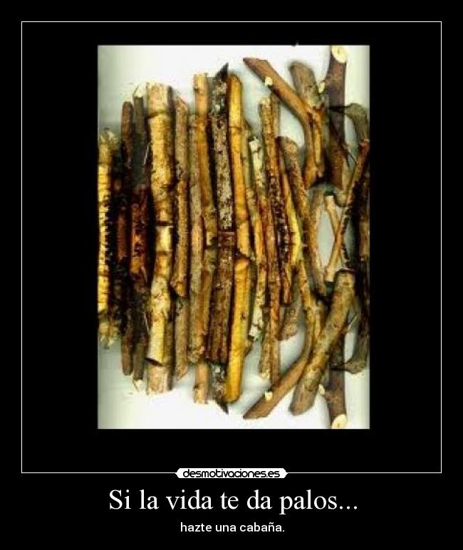 Si la vida te da palos... - 