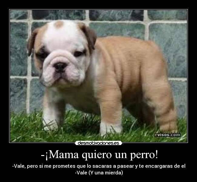 carteles mama quiero perro desmotivaciones